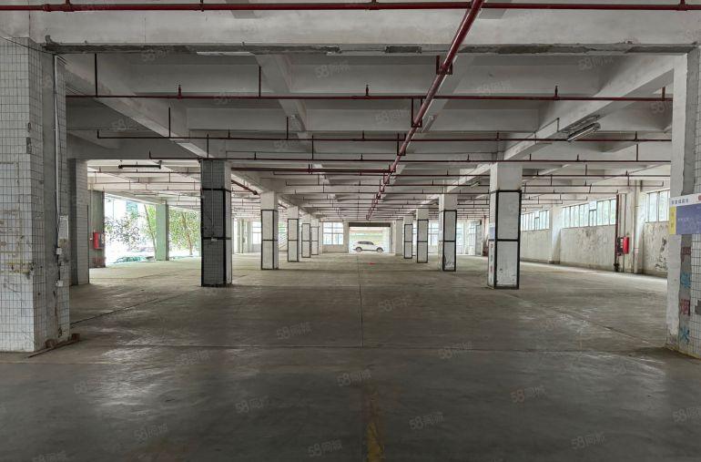 观澜原房东独院厂房出租200平起带卸货平台电商仓库分租