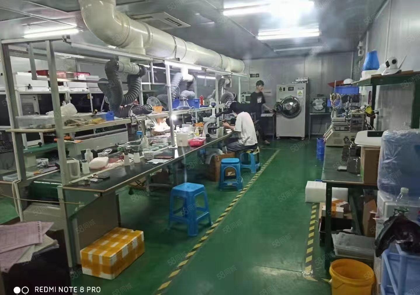 带无尘车间，周边人旺，好招工