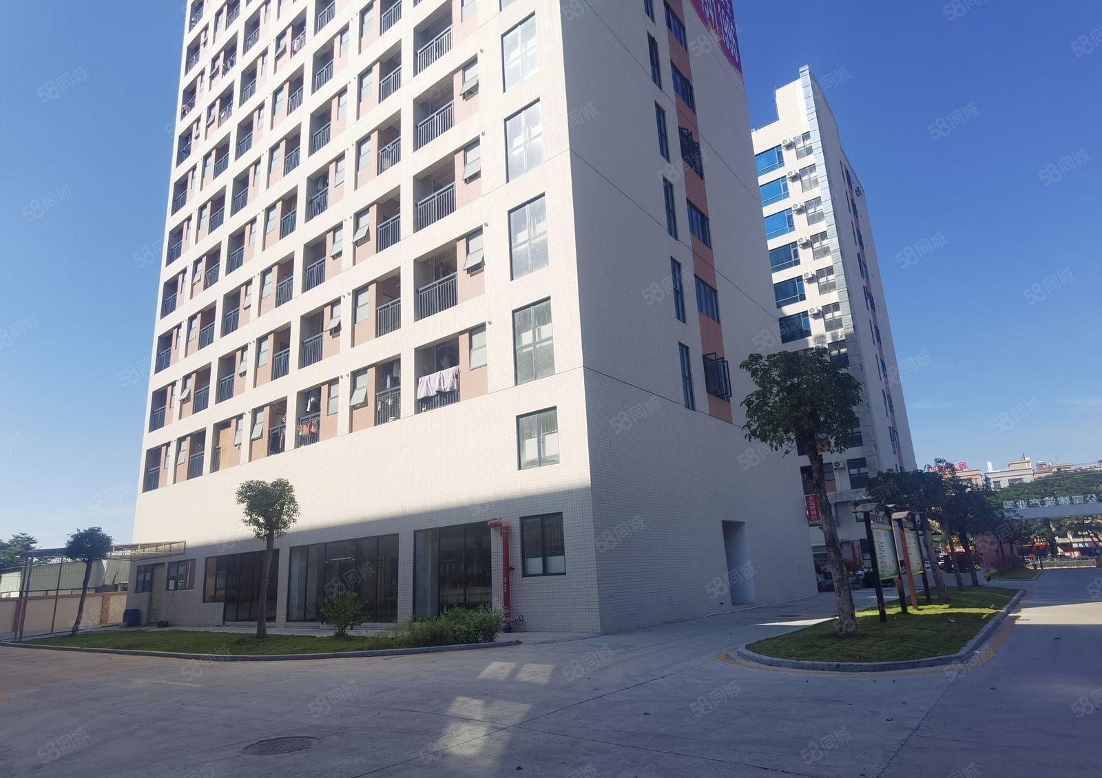 观澜章坑径二楼500至1000平方下围工业区精装修厂房出租