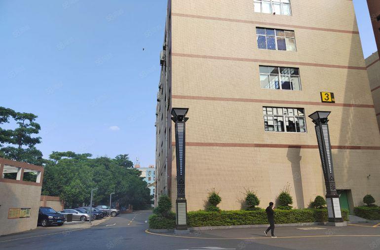 龙华大浪650平精装办公室加车间仓库低价出租200平起可分租