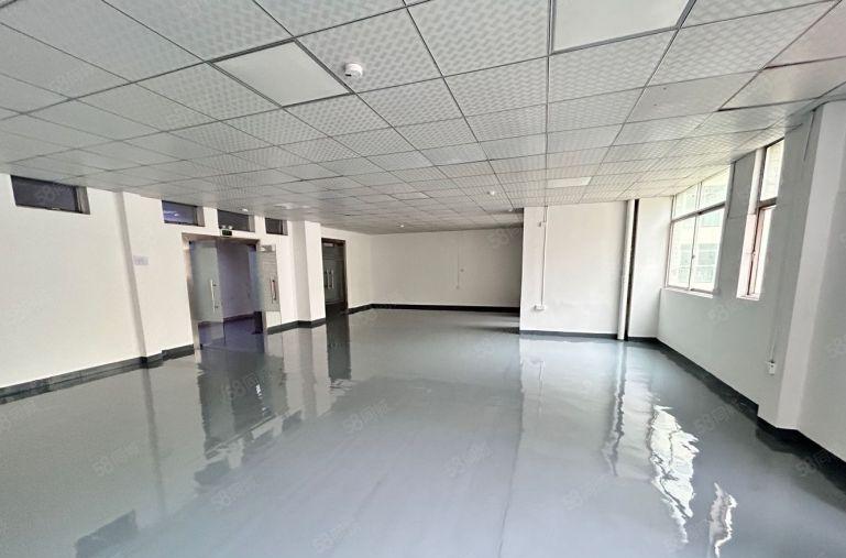 龙华信息港旁 原房东 可做上下水 精装房源 25元平