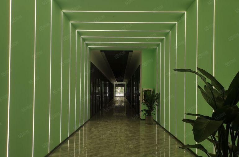 100平起龙华大浪商业中心4万平带精装办公室仓库厂房出租分租