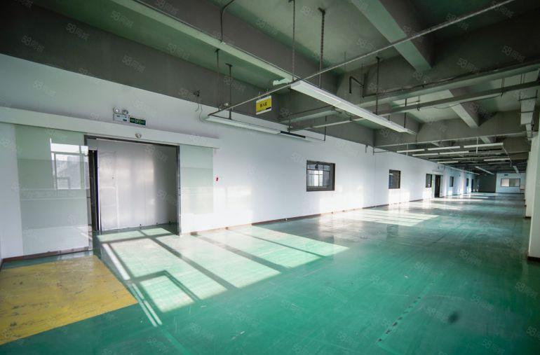 龙华清湖高速口700平米精装修厂房业主直租，可做办公小加工