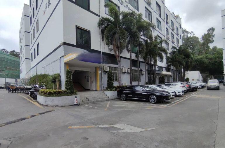 龙华大浪 原房东红本厂房198平3加1格局精装办公室定制出租