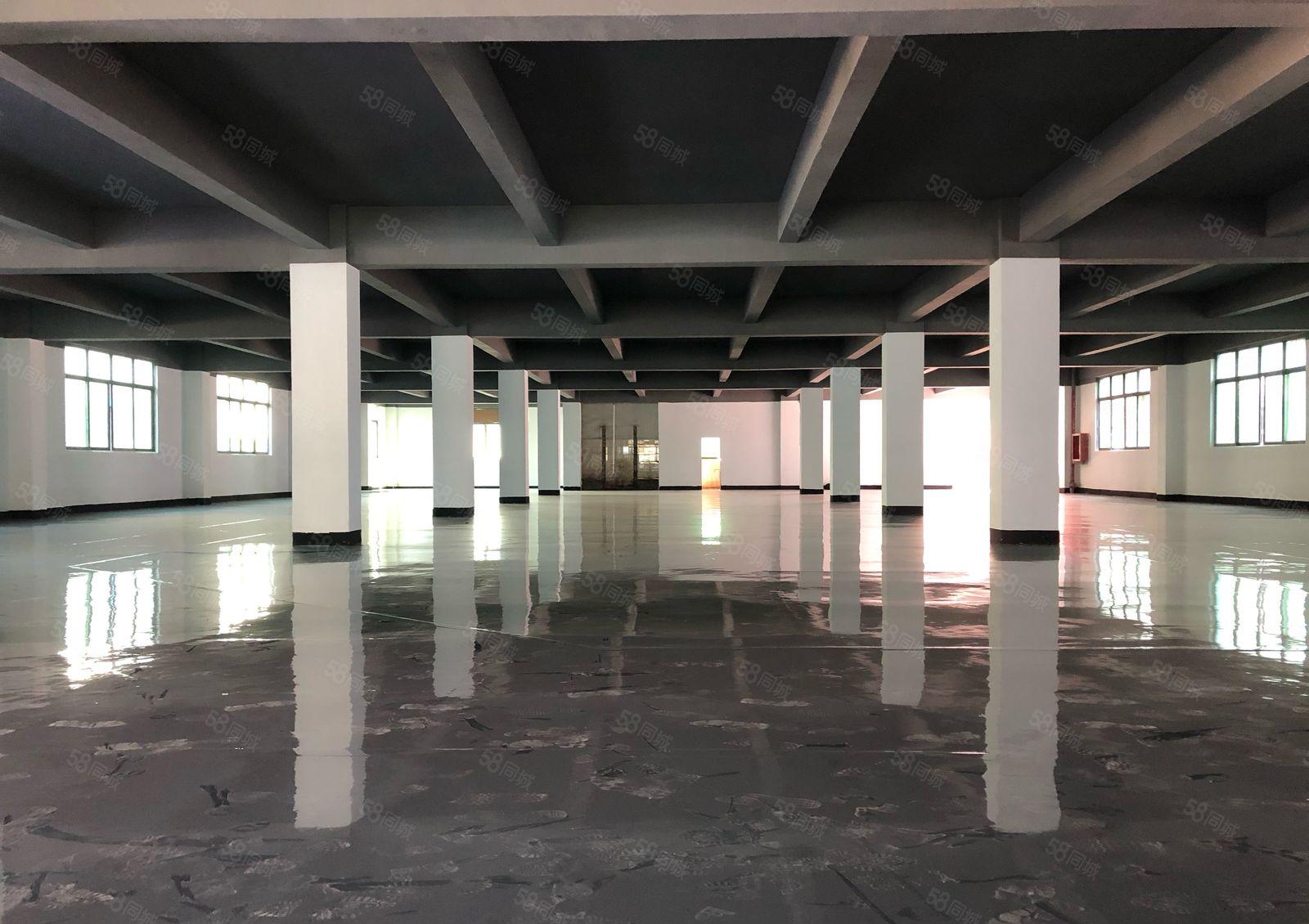 100平起分龙华地铁口独院整层2000平带装修大小可分