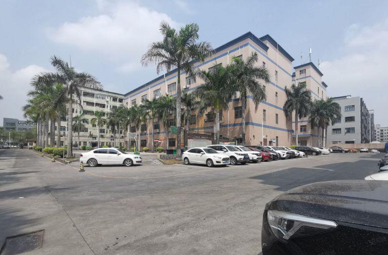 大浪嘉安达300至1000平原房东独院精装修一楼仓库厂房出租