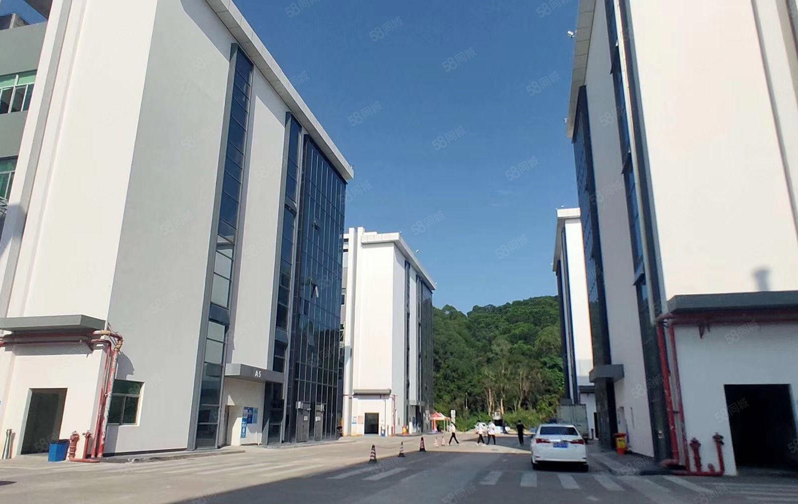 大浪工业园新出原房东红本厂房三楼1000平方厂房出租带精装修