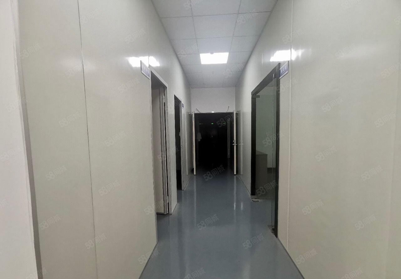 无尘车间，龙华区大浪新出2楼782平，大型园区交通便利。