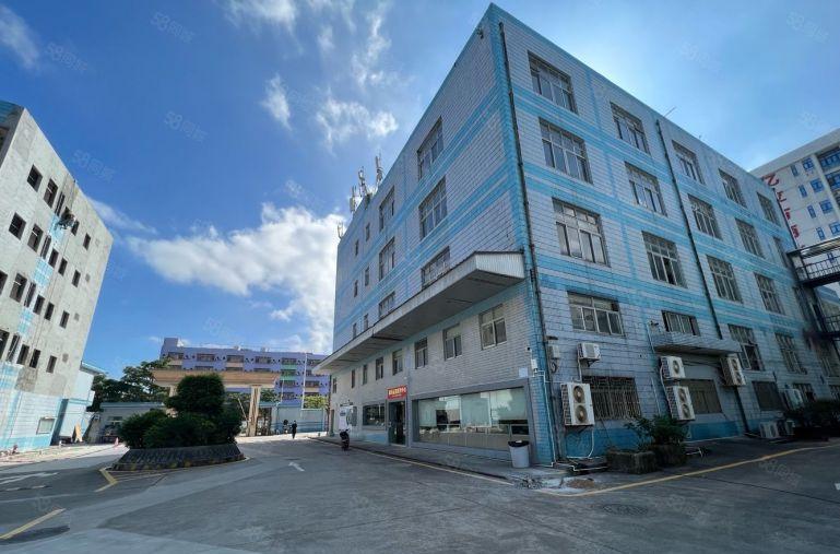 龙华清湖地铁口原房东出租2000平 办公电商仓库