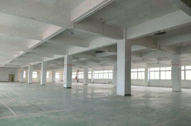 龙华大浪红本厂房出租2000平可分租 工业园低价一楼仓库出租