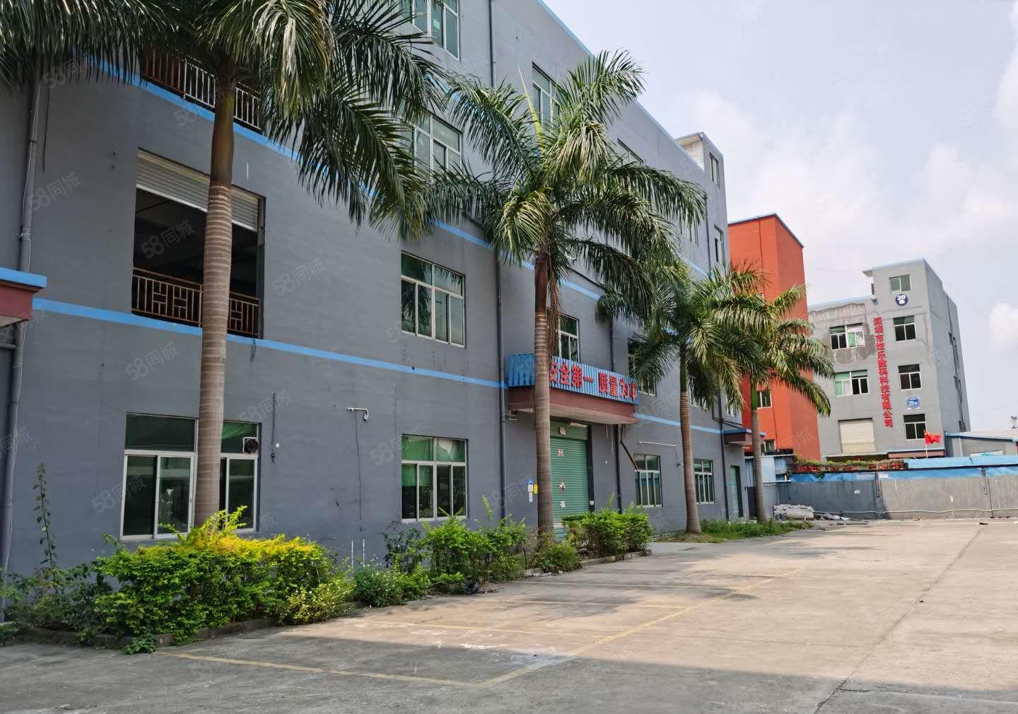 龙华厂房仓库出租500平1000平2000平独门独院29出租