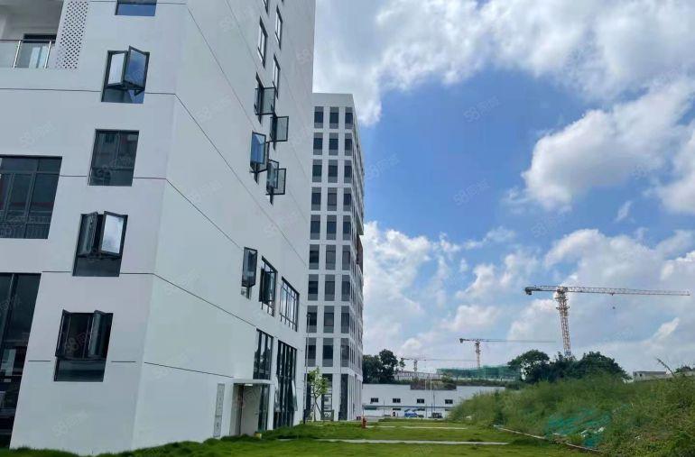 观澜福城分租200平至1000平仓库厂房低价出租带装修通水电