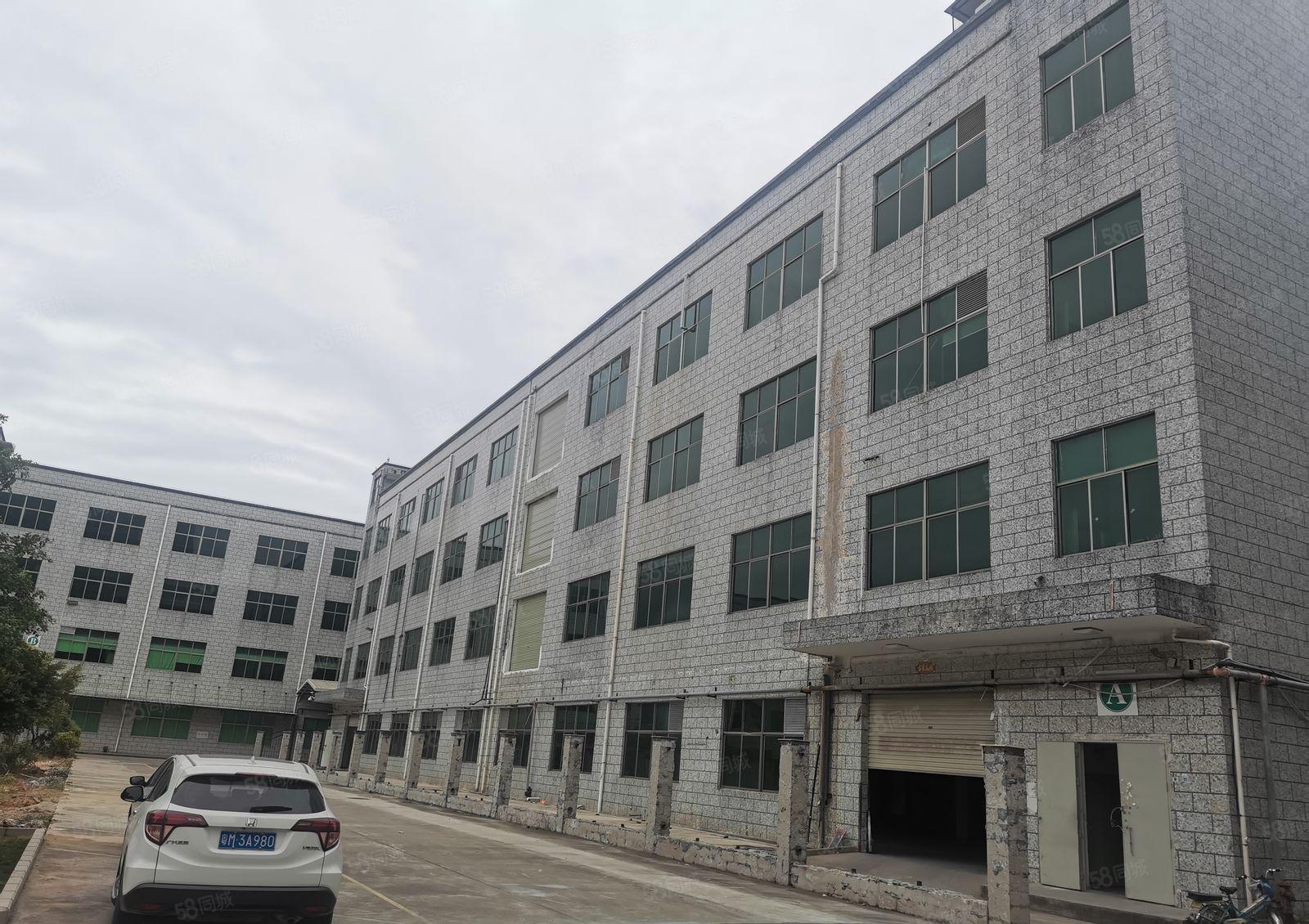 观澜章阁主干道边原房东红本厂房园区3.5万平方招租可分租