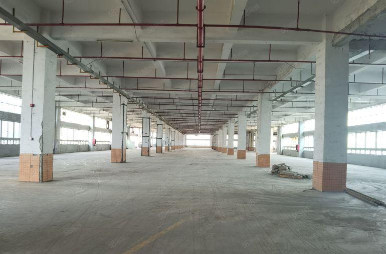 龙华地铁口红本厂房仓库3500平方可分租带丙类消防层高6米