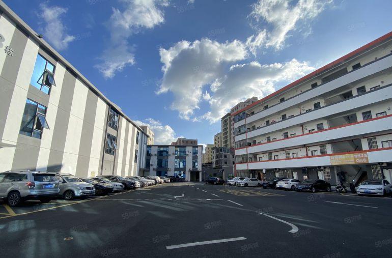 低至25元龙华电商科技园新出300平精装办公研发仓库厂房出租