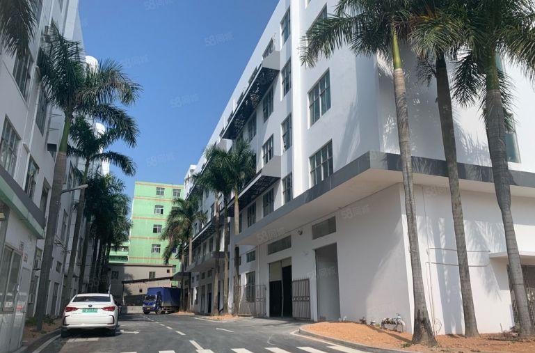 观澜牛湖地铁口原房东直租一楼2000平方厂房仓库出租。