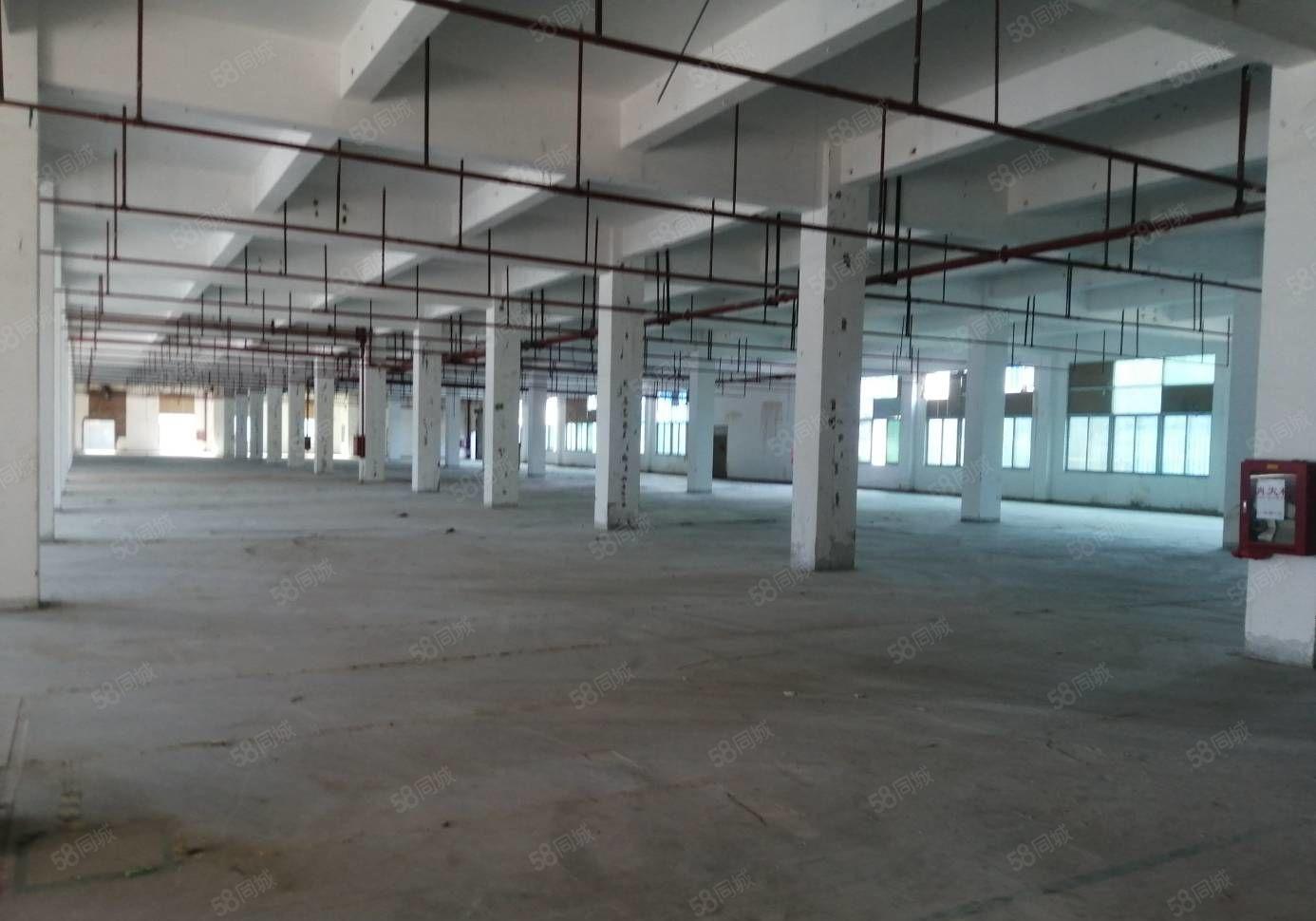 500平起分 观澜原房东独院15000平 水电齐全 带精装修