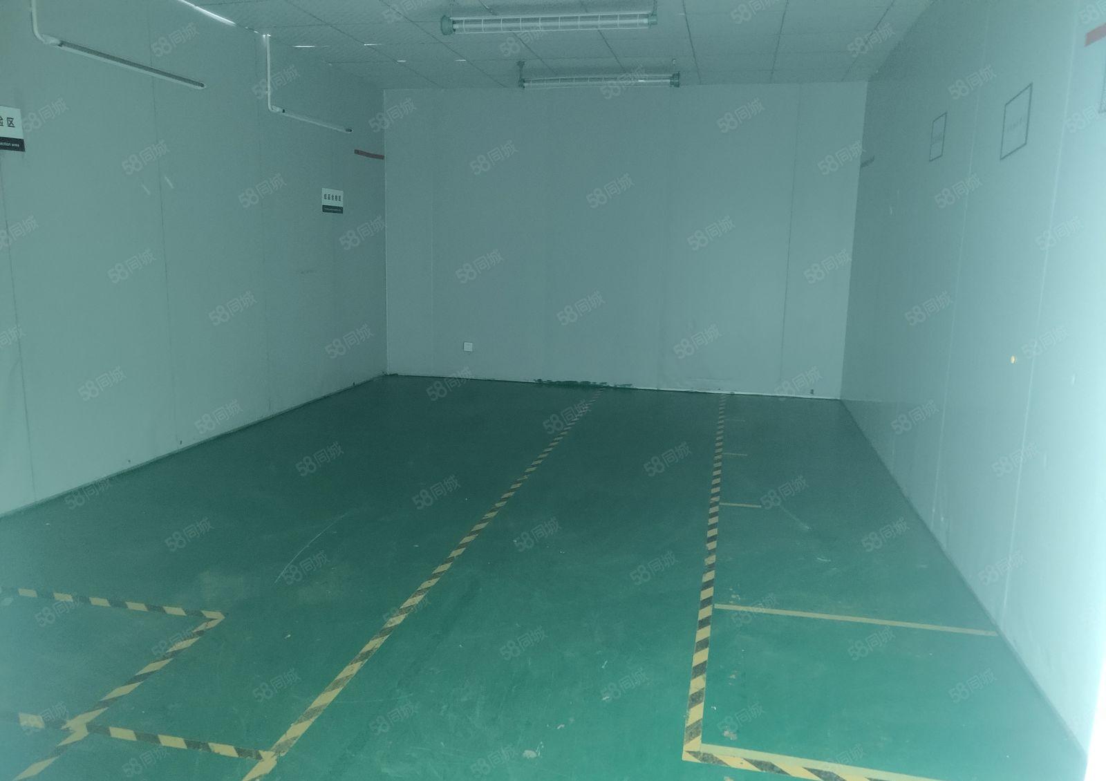 出租|观澜新田工业园900平无尘室红本厂房出租形象好可办环评