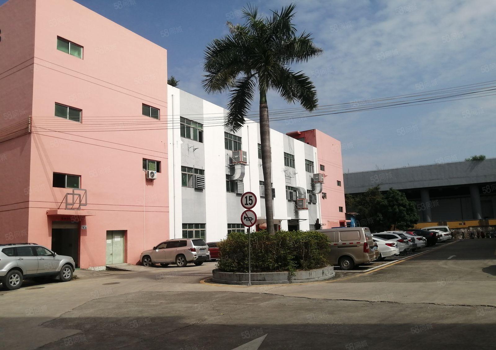 20元龙华大浪大浪南路600平车间吊顶园区形象好