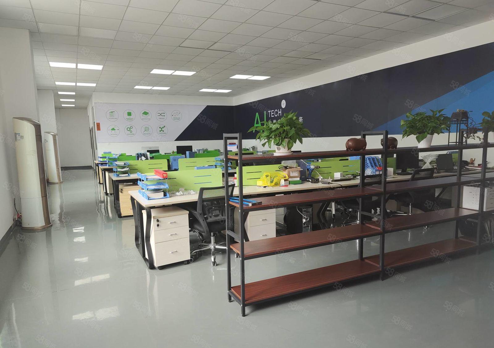 龙华大浪布龙路边石观工业区精装修一楼厂房出租1600平可分租