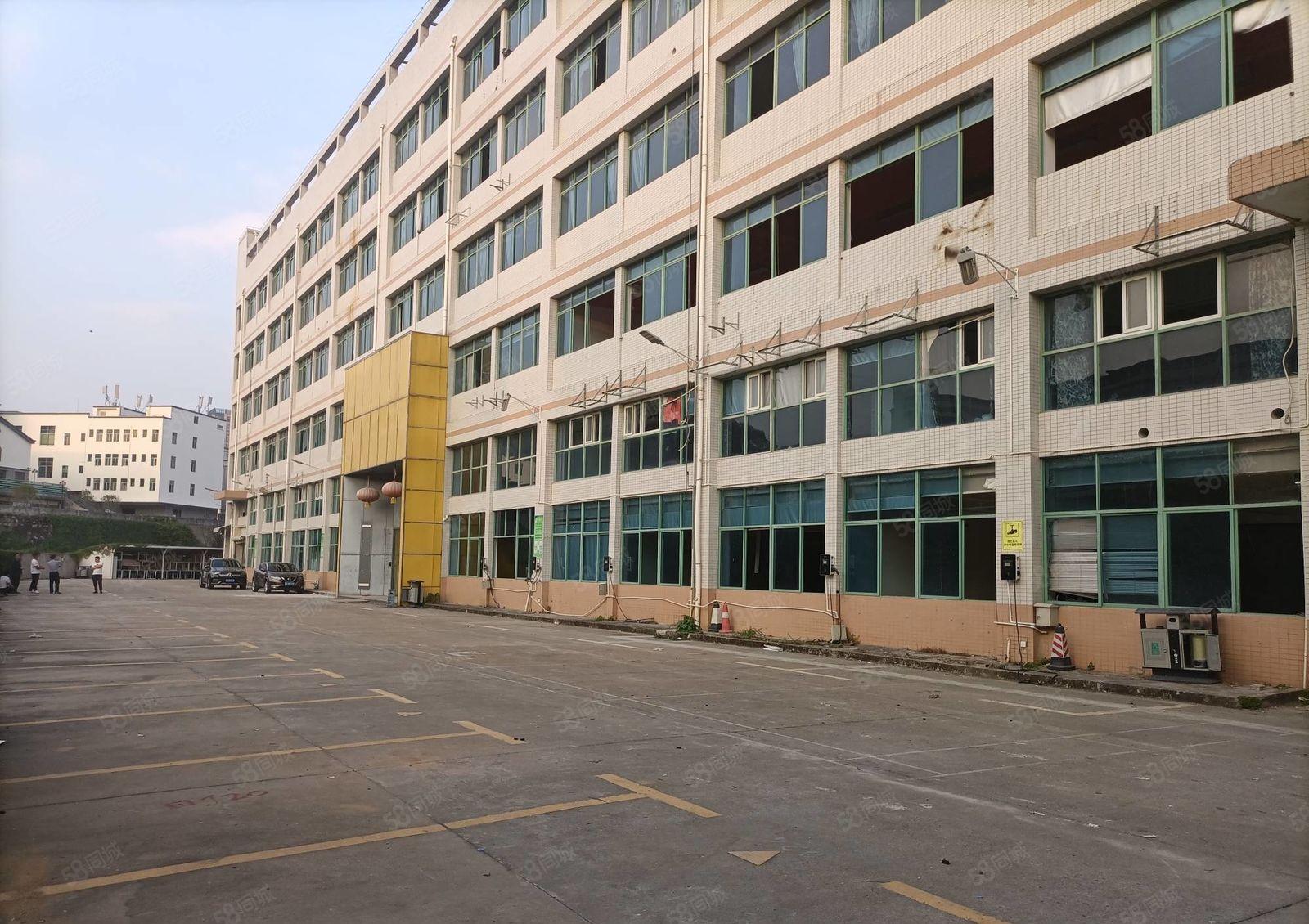 龙华新出一二楼1000平至5000平厂房仓库出租独院大小分租