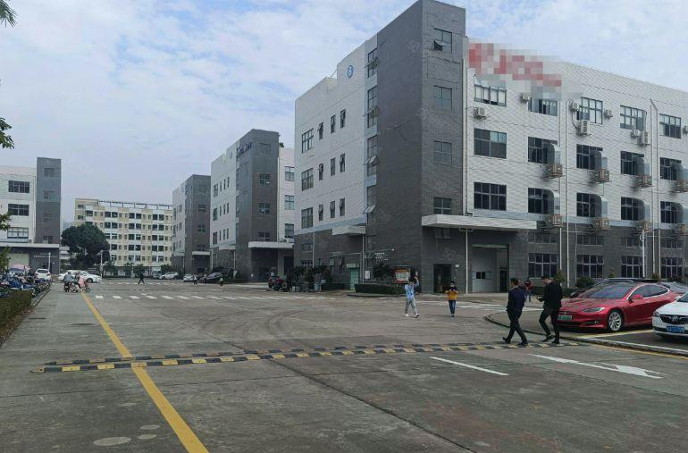 观澜新出一二楼500平至5000平方厂房仓库出租大小面积分租