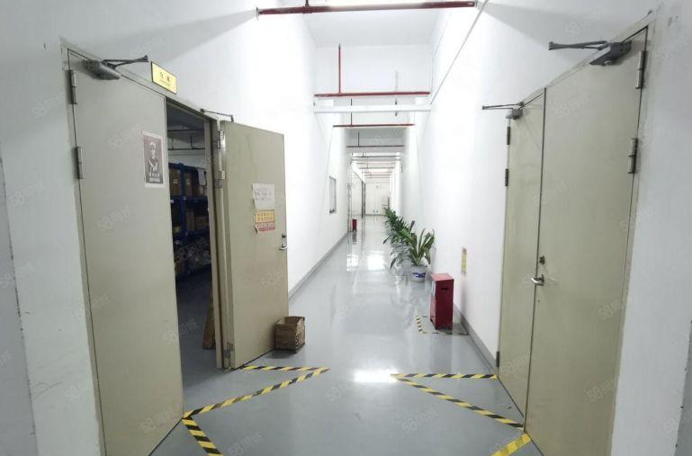 观澜精装修红本厂房出租一楼楼上3000平米原房东小面积200