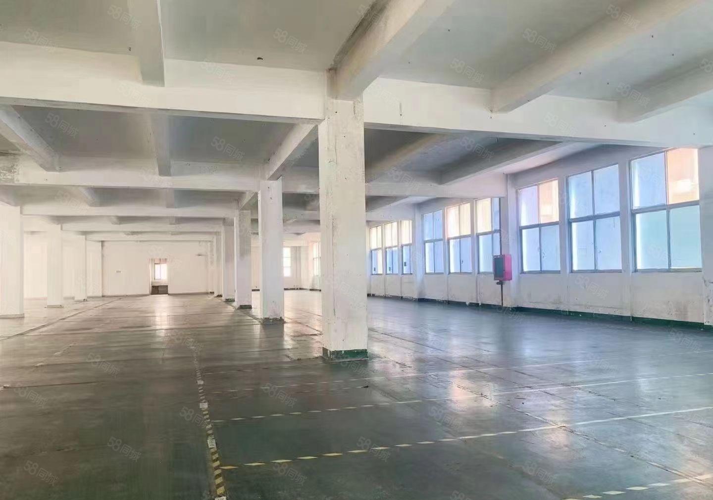 深圳观澜同富裕工业区新出一楼3000平方红本厂房出租