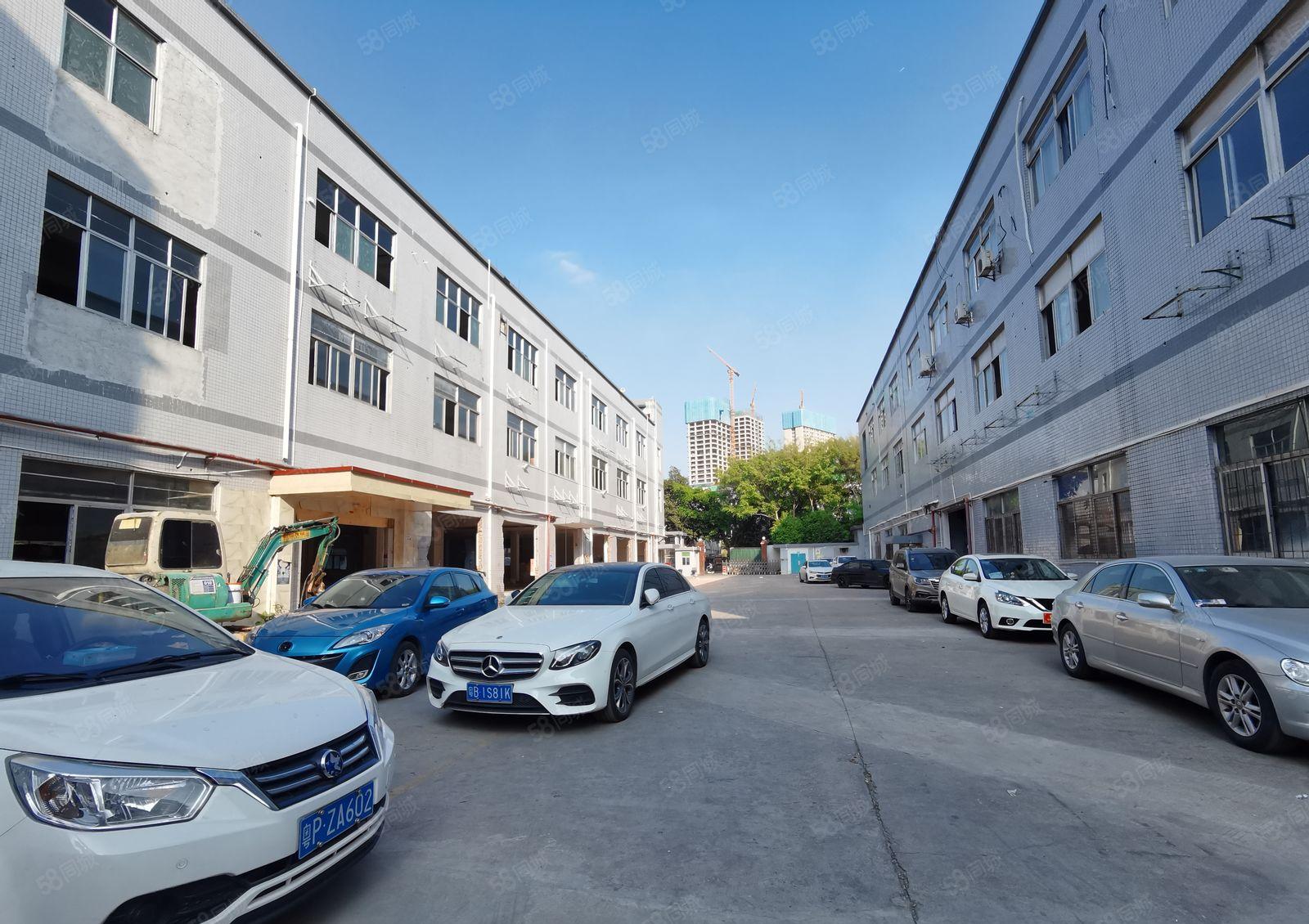 梅观高速出口独院厂房出租，面积1380平米现房出租