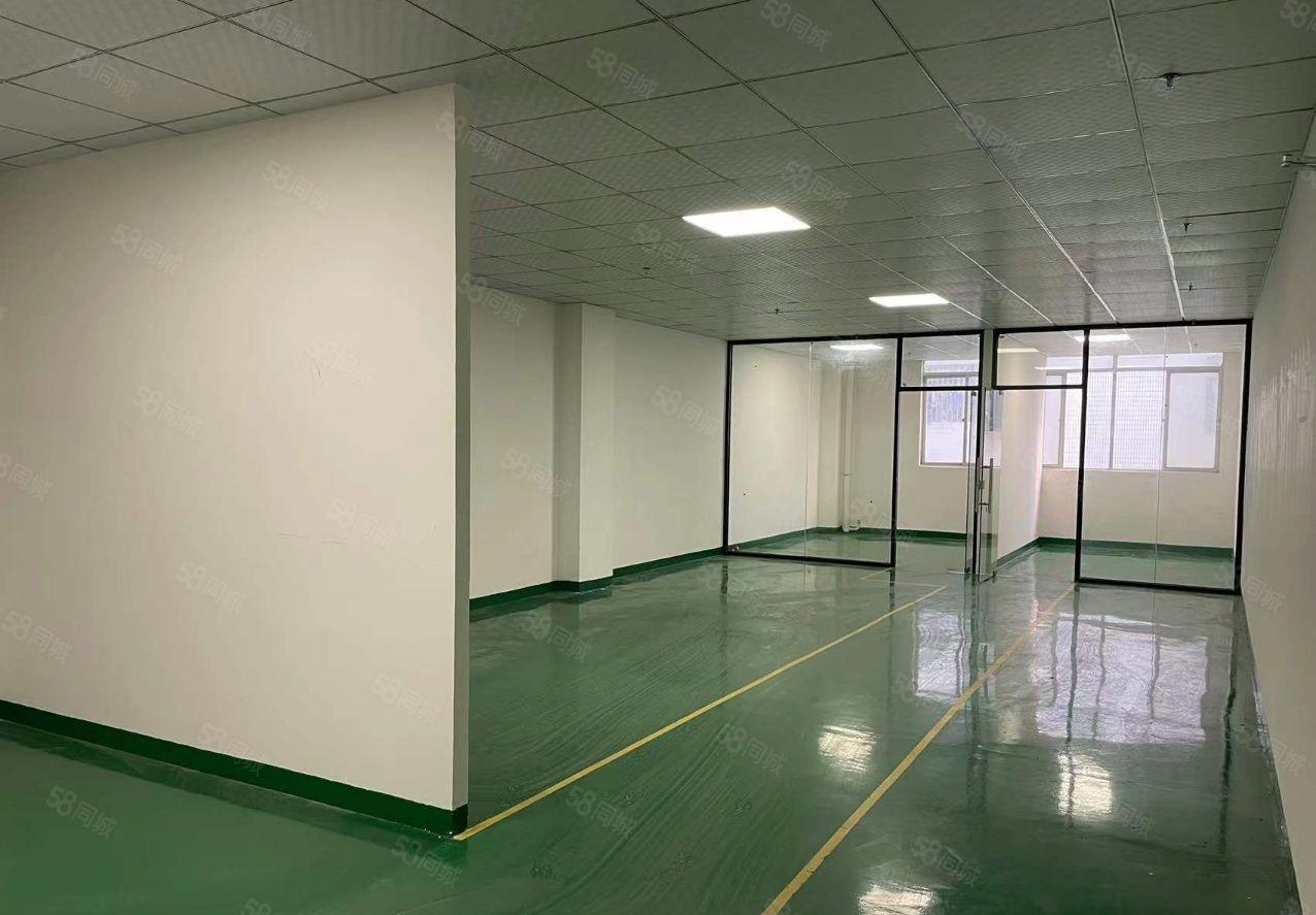 大浪370平550平1000平精装修厂房办公仓库一楼招租