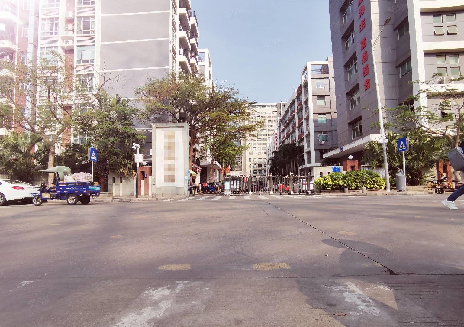 200起分小面积观澜茜坑原房东厂房出租一楼仓库出租可转租加工