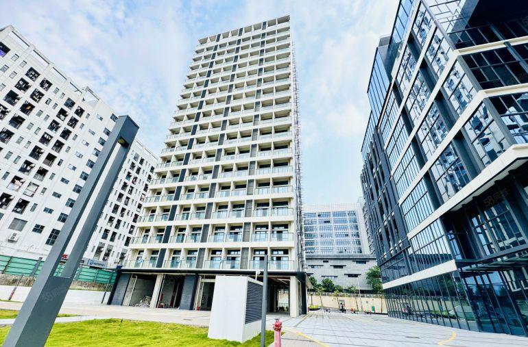 500平起大浪原房东数字产业园50000平精装修办公整租分租