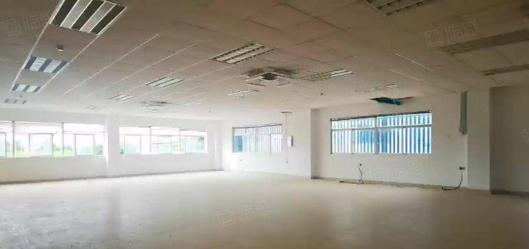 观澜梅观高速口原房东独院红本钢构12000平，1000平起租