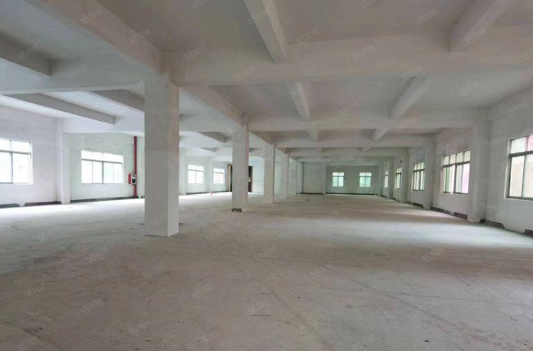 龙华地铁口红本独院厂房仓库2600平出租场大形象好易招工