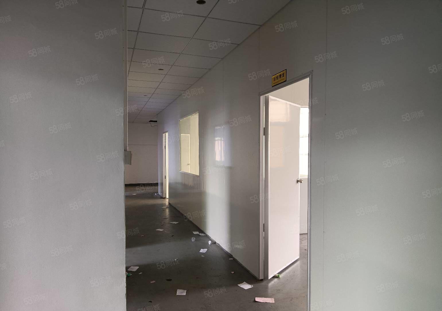 25元起龙华大浪诚光工业园原房东厂房2000平出租600起租