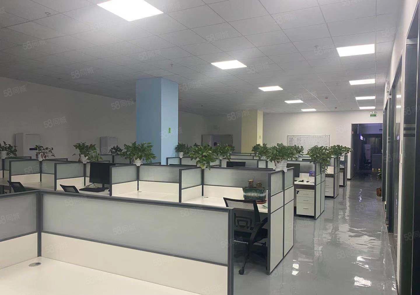 龙华大浪地铁口原房东厂房出租整栋6500平四层带精装