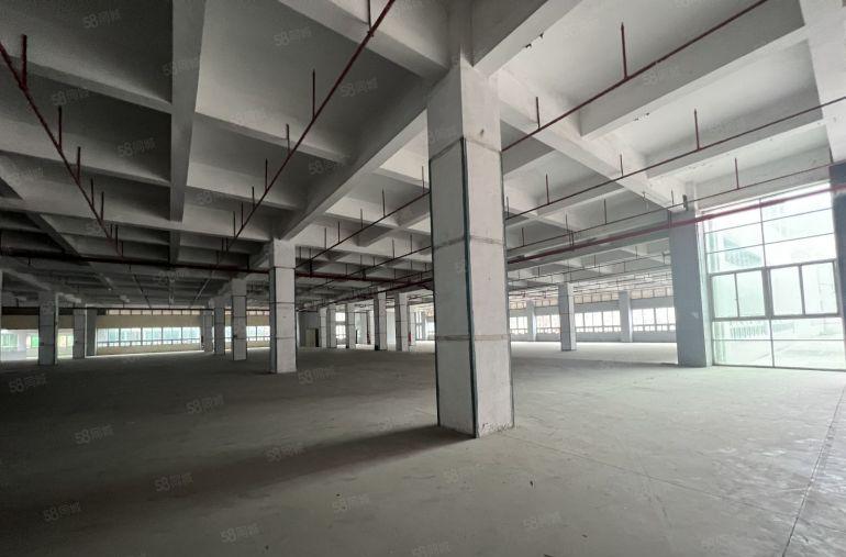 龙华物流园每层高6米厂房仓库出租20000平大小可分拖头随进