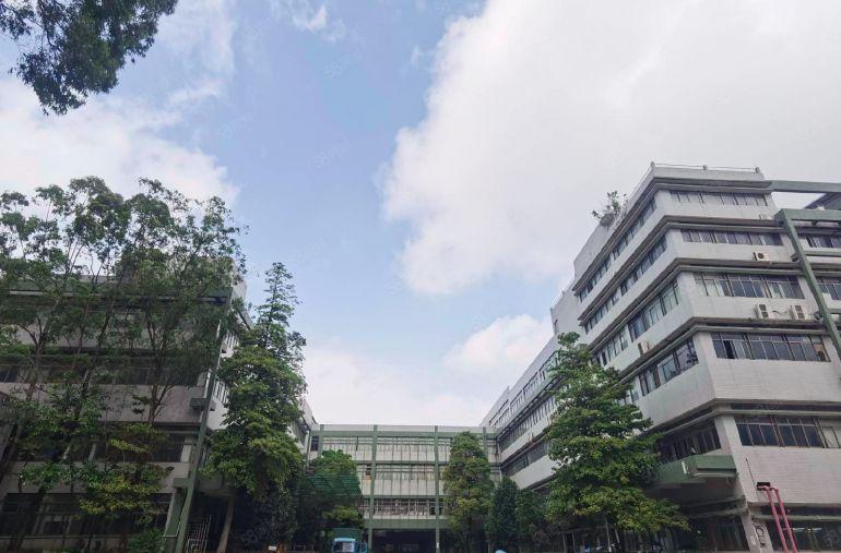 龙华科技园300~5000平定制装修，打造园林景观科技聚集地