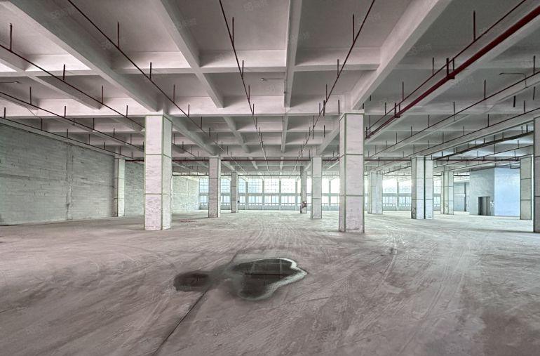 龙华大浪数字产业园火爆招商，500平起租大小分租，不限行业