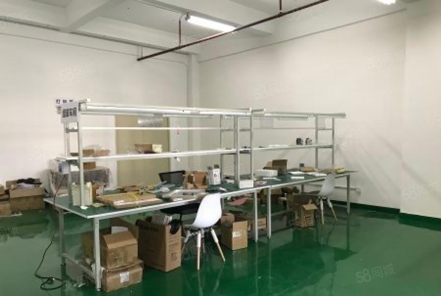 龙华大浪主干道边上现成装修厂房300平出租，没有转让费