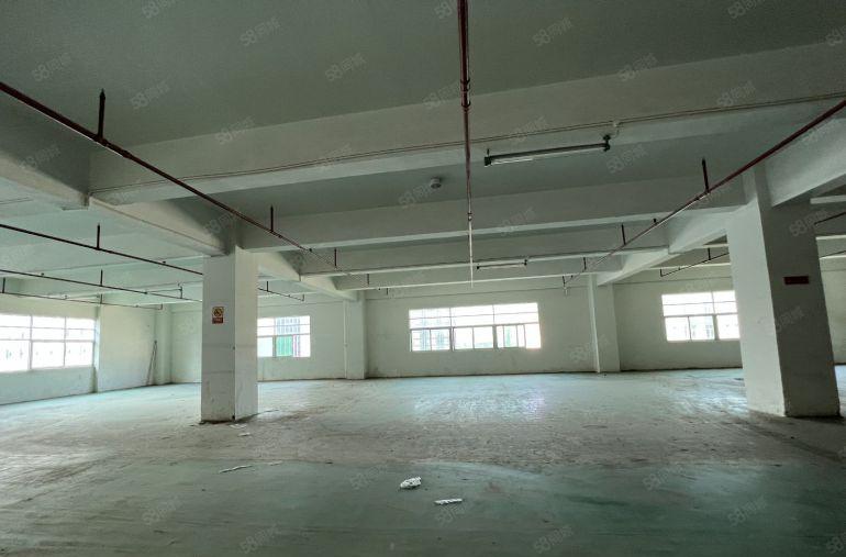观澜原房东红本一楼厂房1800平仓库出租空地大好招工免中