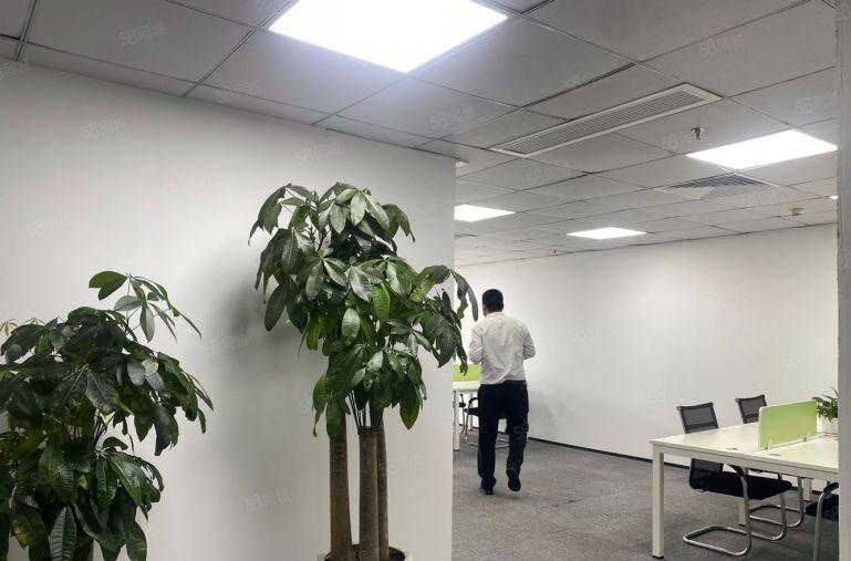 龙华大浪小面积写字楼办公室出租，200平320平带精装修