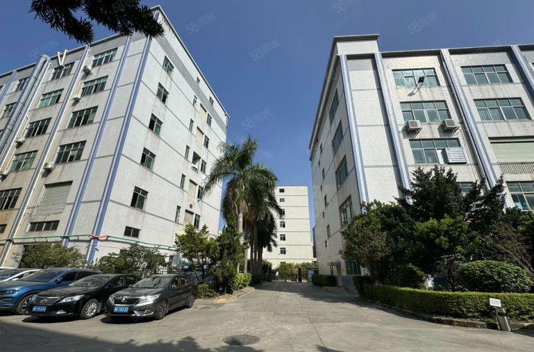 观澜章阁厂房出租200平起可分租水电齐全精装修办公仓库出租