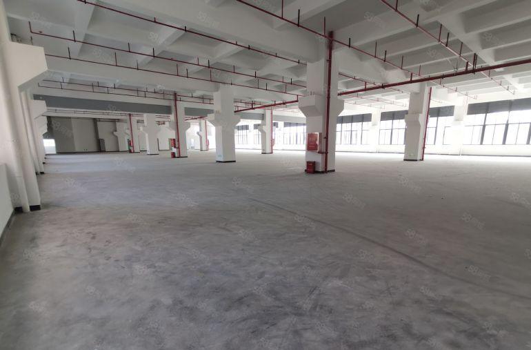 深圳龙华厂房大浪出租办公仓库2000平超大空地整租分租工业园