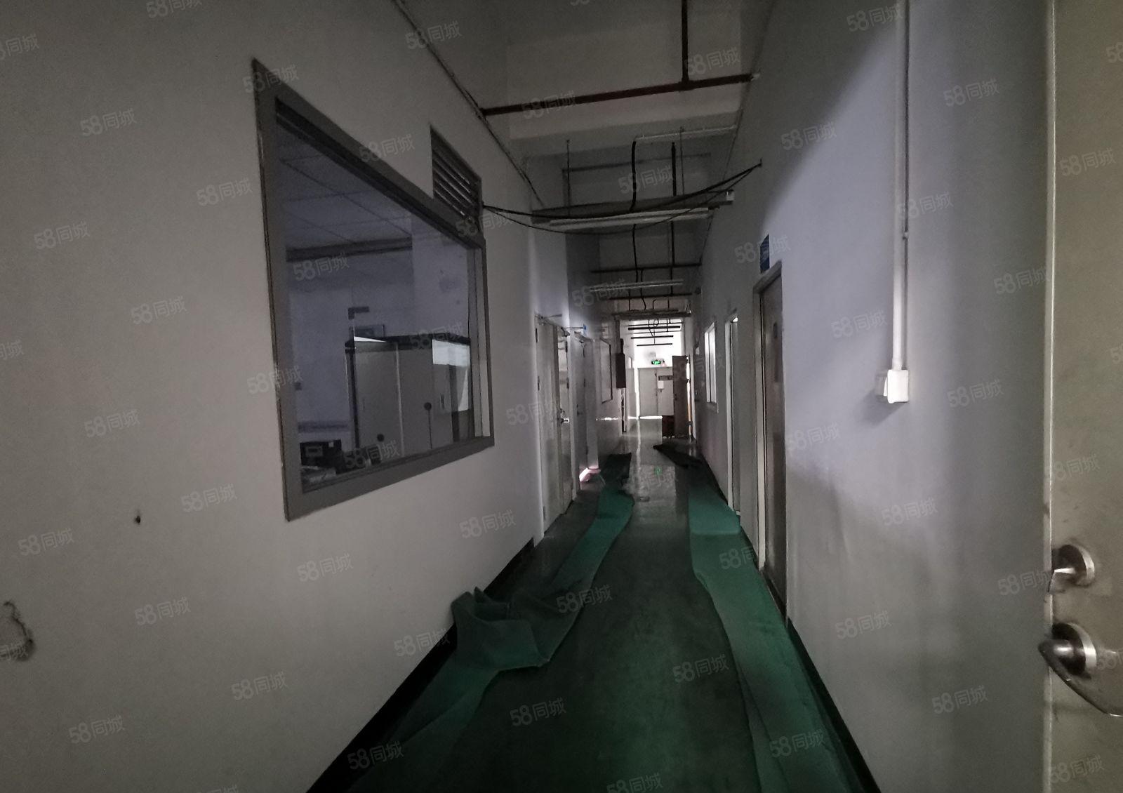 龙华大浪新百丽旁原房东精装修1644平厂房仓库办公室出租