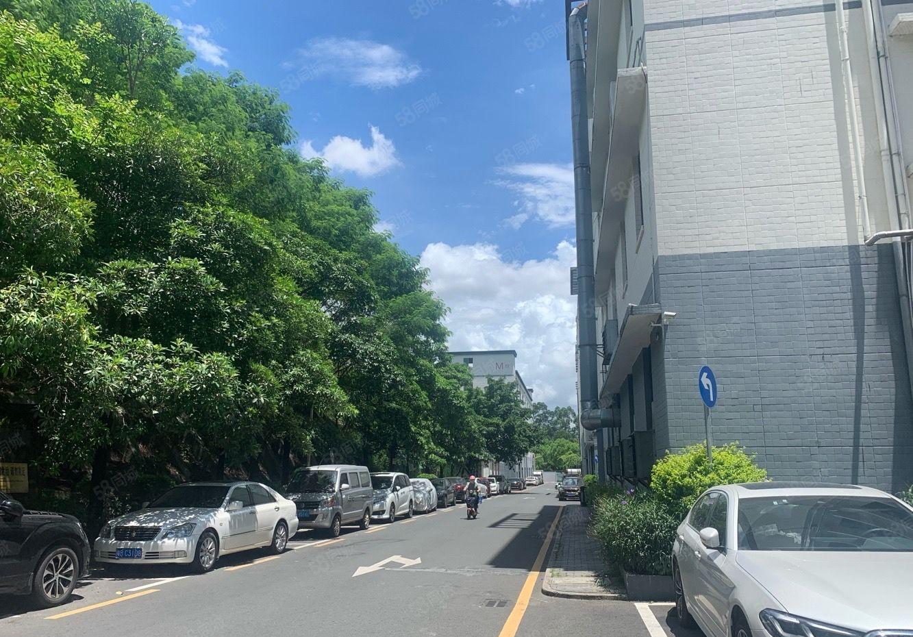 龙华成熟工业区3万平厂房仓库出租500平起租！