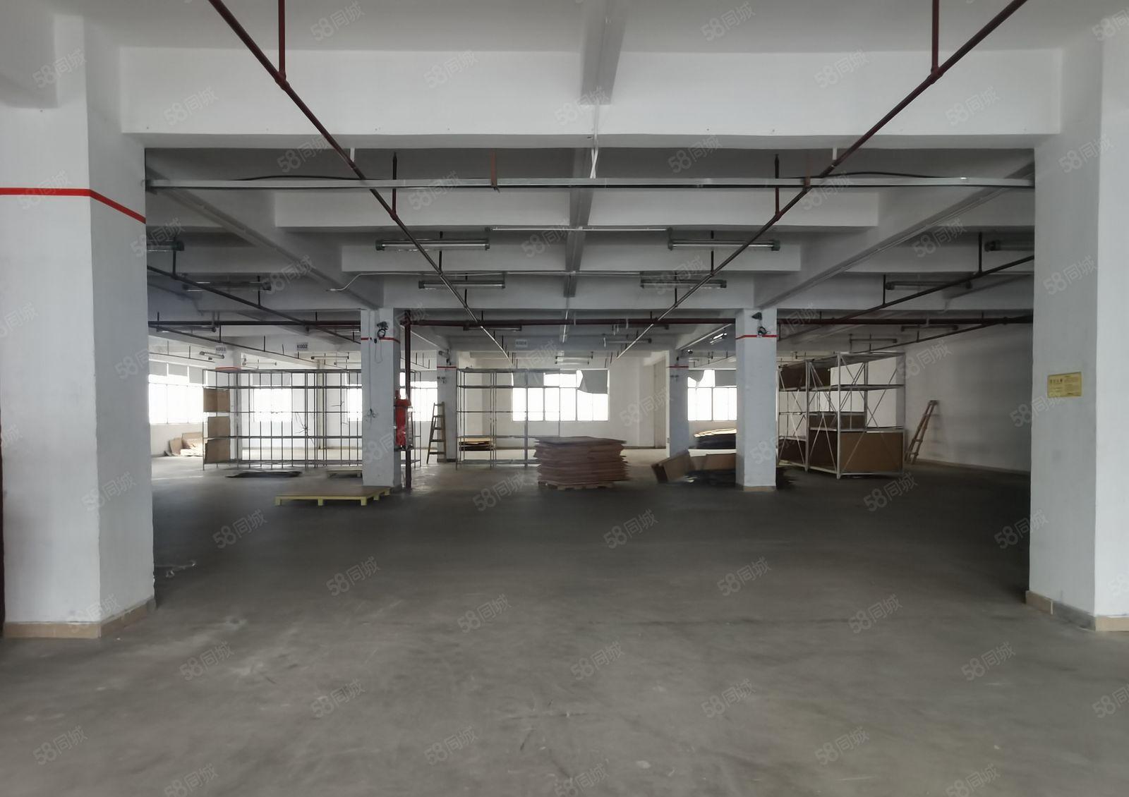 龙华大浪大型工业区高速出口原房东整层厂房出租，配套齐全好招工