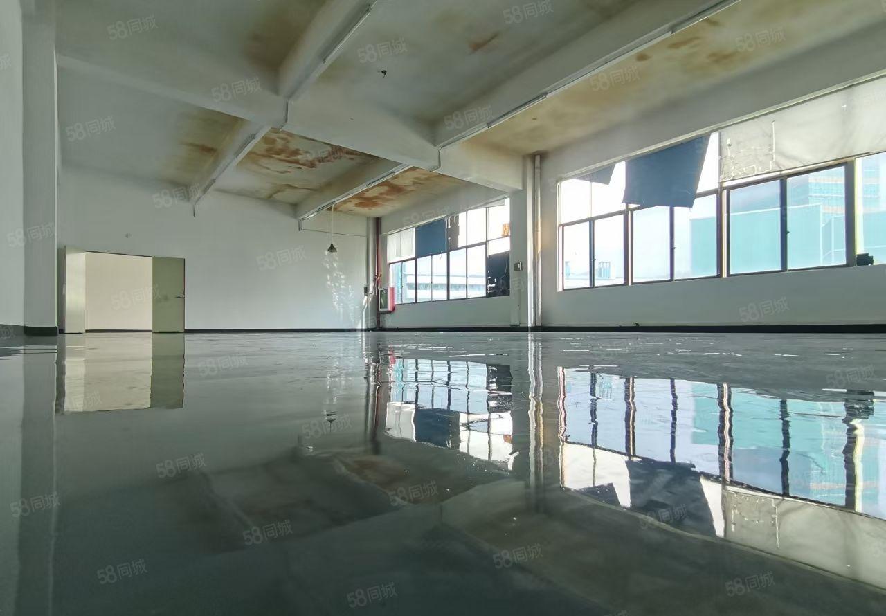 大浪25元，25元每平，精装600平厂房出租