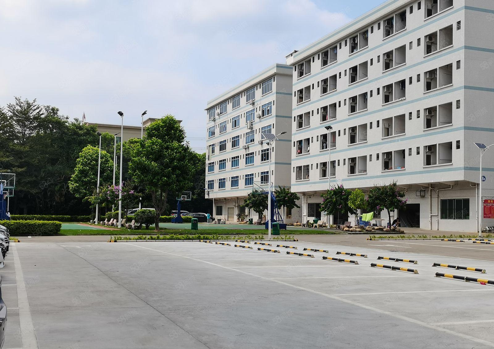 龙华同富裕工业区红本厂房1百3百5百1千平出租一楼仓库易招工