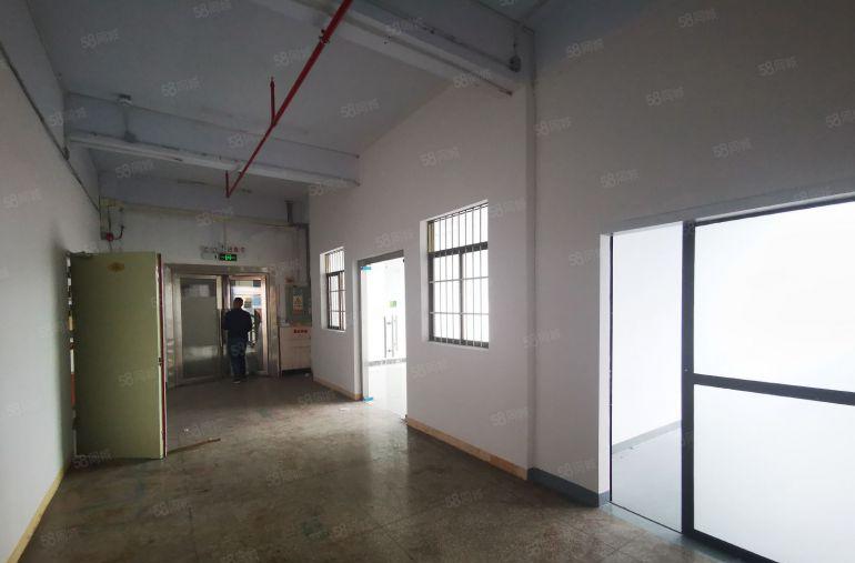 特价18元龙华大浪原房东1000平精装修红本厂房出租分租